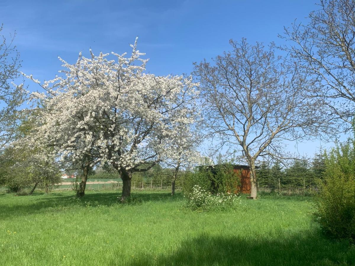 Ferme Renovee 300M2 La Casa Jeb : Charme, Calme Et Nature Moncheaux 外观 照片